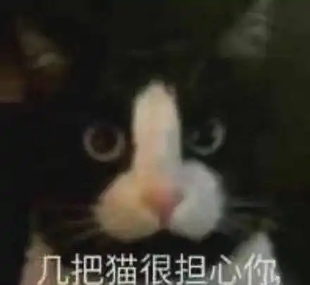 重要事情图片表情包古树