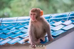  中国的普吉岛据说广东本省人都爱去这个海岛度假