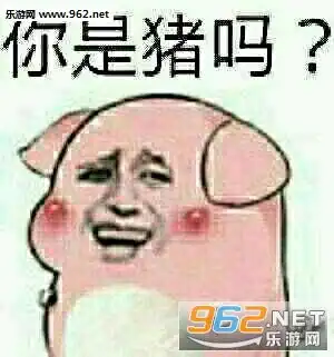  如何养猪表情包如何养猪图片网图下载乐游网游戏下载