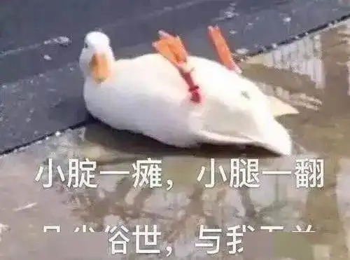  豆瓣社会性死亡小组,是想笑死我继承我的花呗吗
