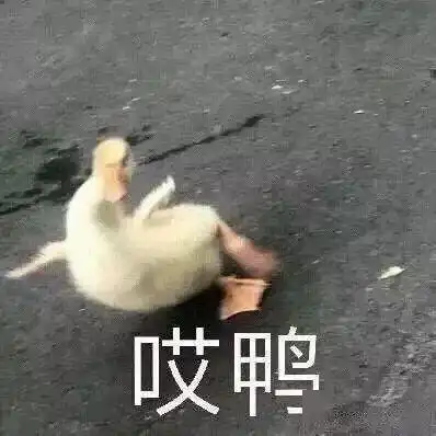  天气恢复晴好,火热假期即将来袭