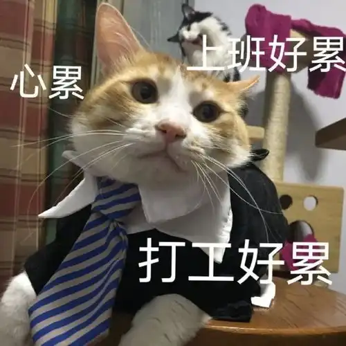  打蚊子表情包开机,混底薪当代打工人必备表情包