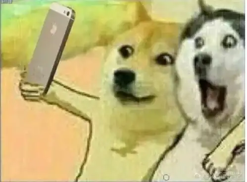  两个狗子自拍表情包自拍狗子两个表情