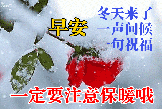  12月20日冬至最漂亮早上好动态表情图片大全,早晨好动图美图大全