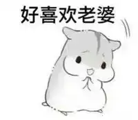  仓鼠夫妻