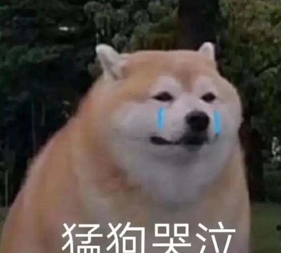  这都是什么迷惑行为