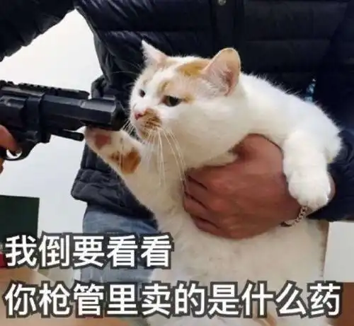 去污粉表情包迷你撕票