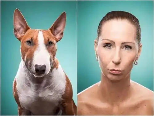  果然,没有人比主人更加了解自己的狗