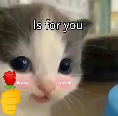 猫咪吓出双下巴表情包猫