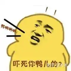  有没有这只鸭的表情包