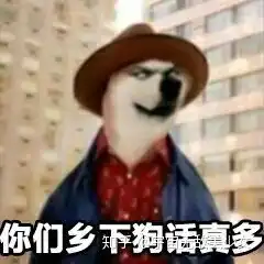  你有哪些非常搞笑的表情包
