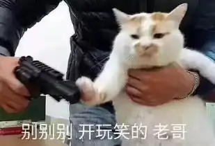  沙雕网友战痘比宫斗还刺激,不懂规矩就要打