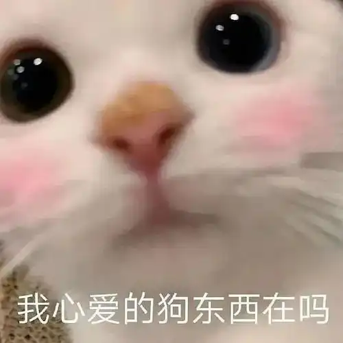  情侣向你觉得这是我的问题喽