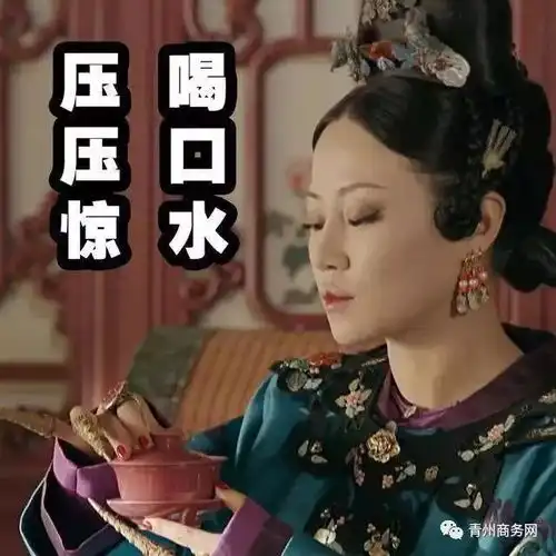 汉服同袍表情包雨后