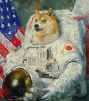 神烦狗表情包动态每日