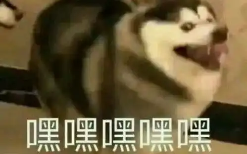  雷神托尔vs麦昆︱是谁允许你们戏这么足小编已含泪下岗