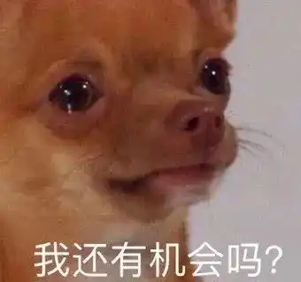  表情包狗狗萌宠沙雕系列