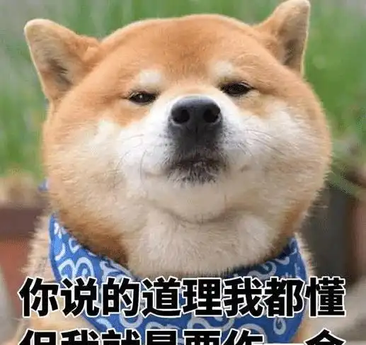  dnf曾经的无影剑有多珍贵唤醒植物人小伙哈哈是不是最上级