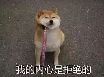  靠表情包出名的柴柴,却也有这样倔强到让人心疼的一面