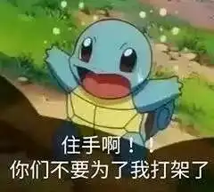  杰尼龟表情包你怎么可以这么憨