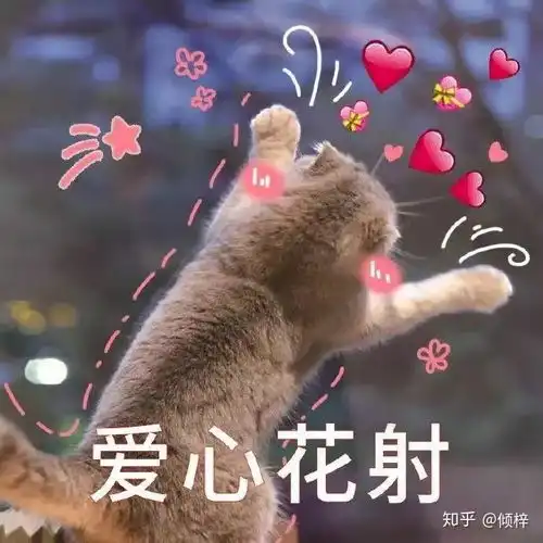 爱妹妹表情包重置