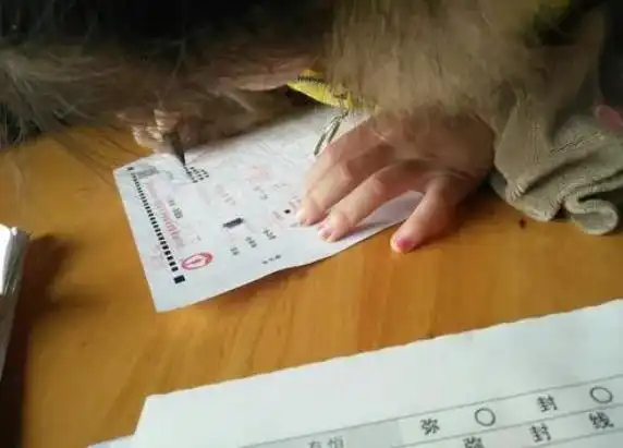  学生倒数第一试卷,不会做题画表情包,美术老师看后赞不绝口