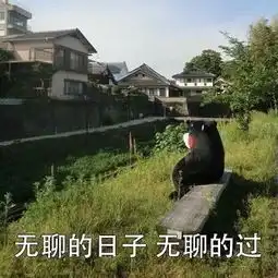  表情包丨无聊的人生呀