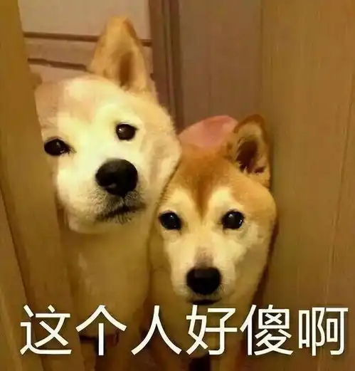 打狗狗表情包模仿