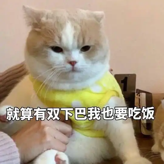 猫咪吓出双下巴表情包表