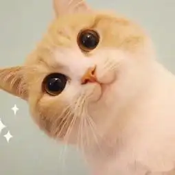  谁有打招呼的表情包