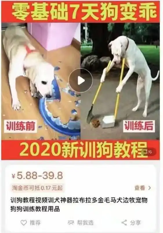  我把月老打了