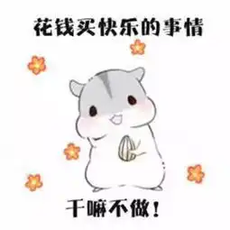 老婆图片表情包