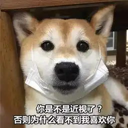 柴犬挨打表情包表情包