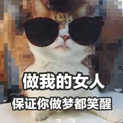  救命我的朋友圈被土味情话刷屏了