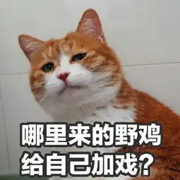  5月近期热门表情包无水印版