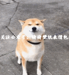  可爱的小动物表情包,柴犬表情包,猫猫表情包
