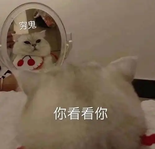  一大波福利你们要的猫猫表情包来啦这才是猛男该用的表情包