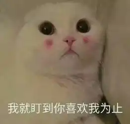  新手必入的超平价国产化妆套刷最低只要元