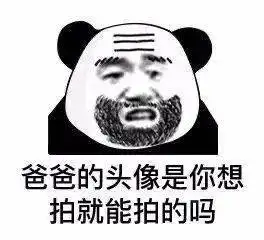  今日份表情包