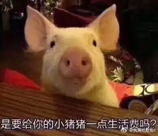  我爱吃煎包c的微博微博