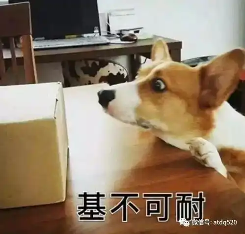  这是一组基情十足的狗狗表情包