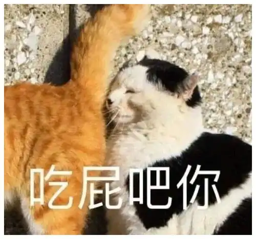  表情包我是一个没有感情的杀手
