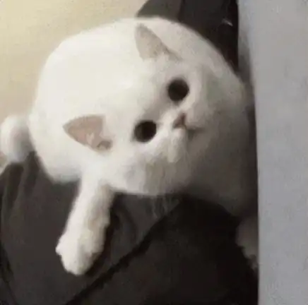 她现在怎么浑身散发着退出雌竞的美了