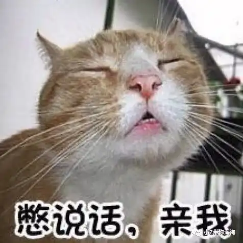  海淘之下单篇