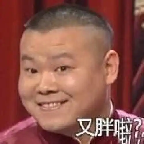  贱贱的岳云鹏表情包