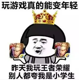  湖南岳阳王者荣耀的假代练真诈骗这些游戏套路你必须知道