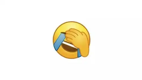 高傲表情包是谁捂脸