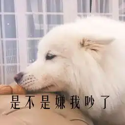  图集丨有了这套表情包,再也不怕撩男神时的尬