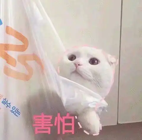  沙雕表情怪让人不好意思的