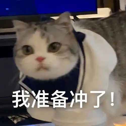 开银趴不叫我表情包猫叫